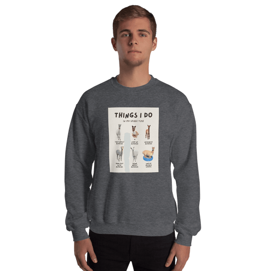 Sweater in alpaca meme design "Things I Do In My Spare Time" | Humorous photos of our alpacas & ideal for alpaca fans