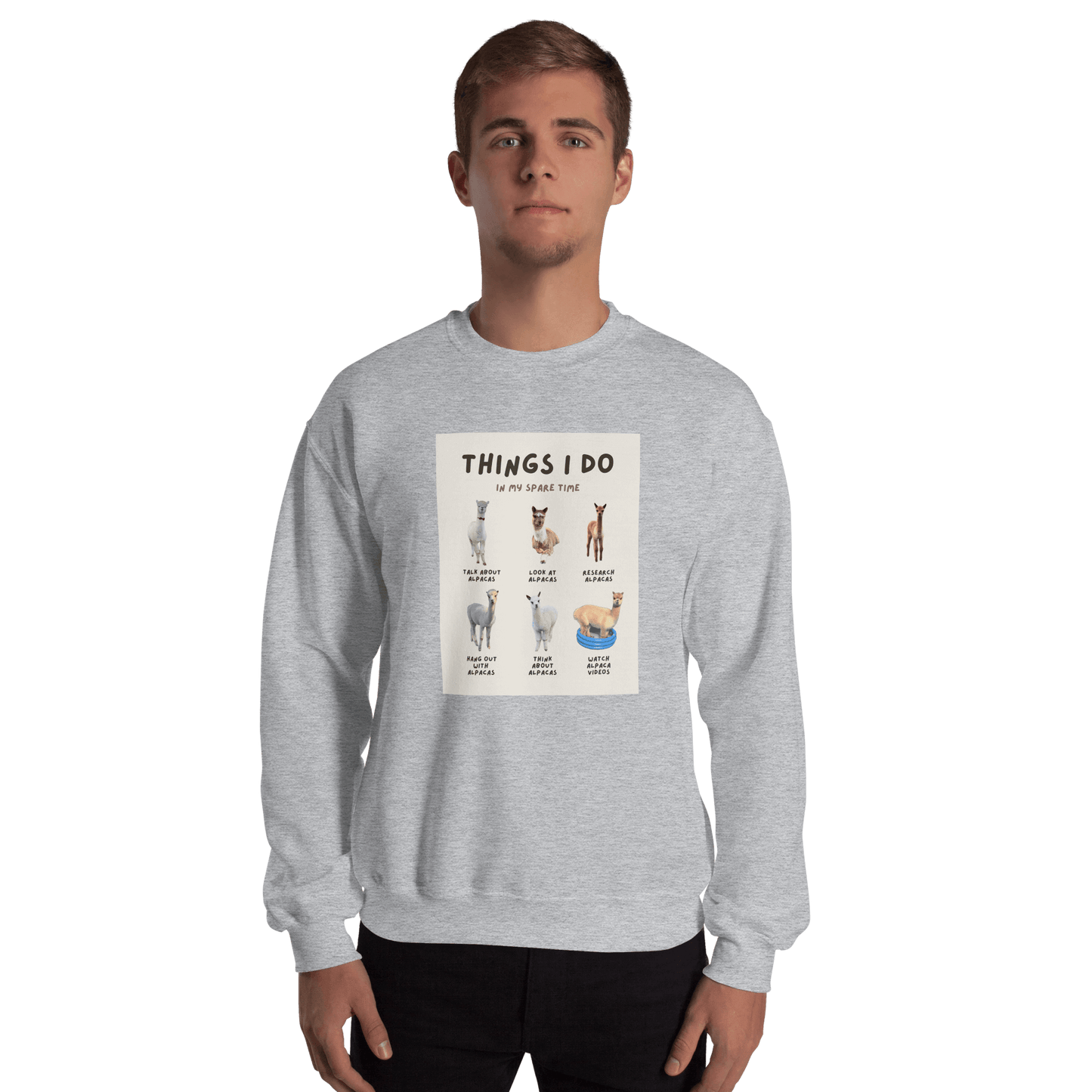 Alpaka Pullover "Things I Do in My Spare Time" – Lustiges Design für Alpaka-Fans