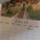 Alpaka Kalender 2026 – Alpakas Fotokalender mit Fakten & Alpaka-Motive