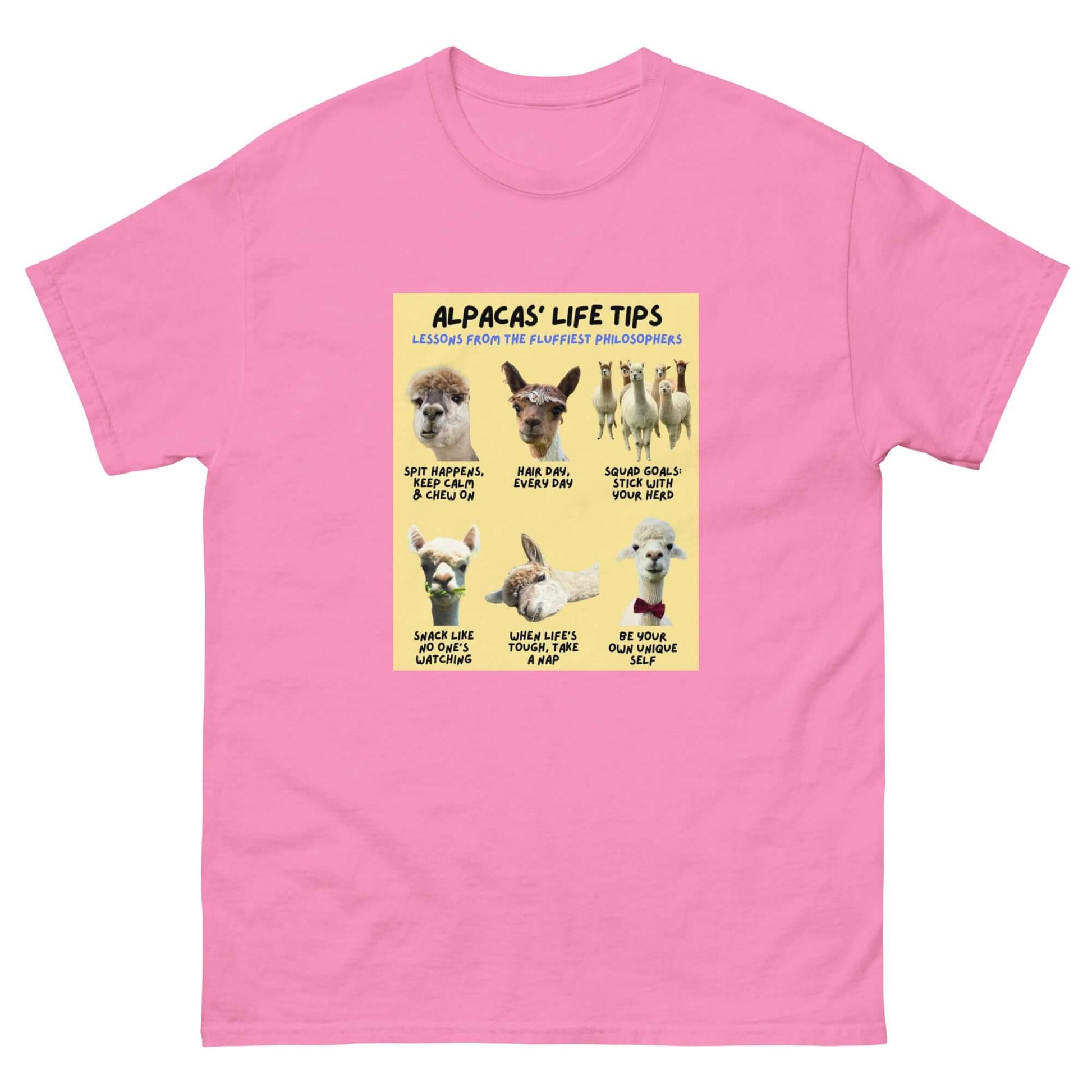 Alpaka T-Shirt aus 100% Baumwolle mit witzigem Motiv