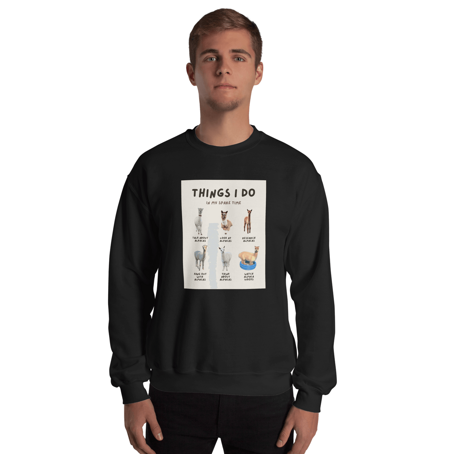 Alpaka Pullover "Things I Do in My Spare Time" – Lustiges Design für Alpaka-Fans