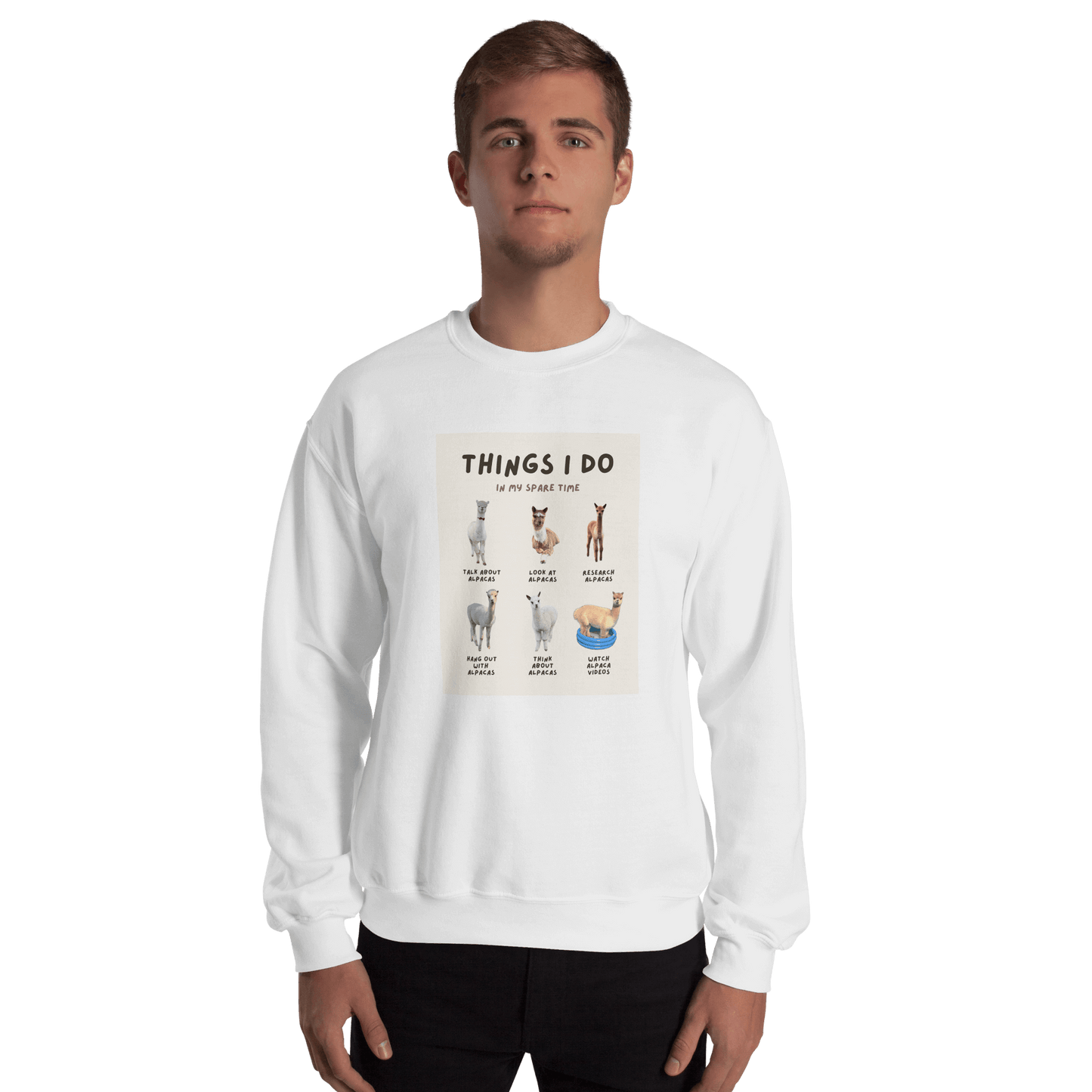 Alpaka Pullover "Things I Do in My Spare Time" – Lustiges Design für Alpaka-Fans