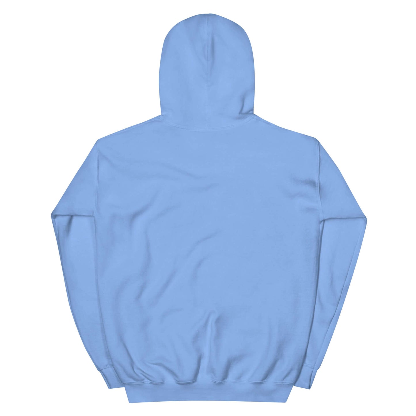 Rückansicht eines niedlichen, hellblauen Alpaka Hoodies mit Kapuze und weichem Material.