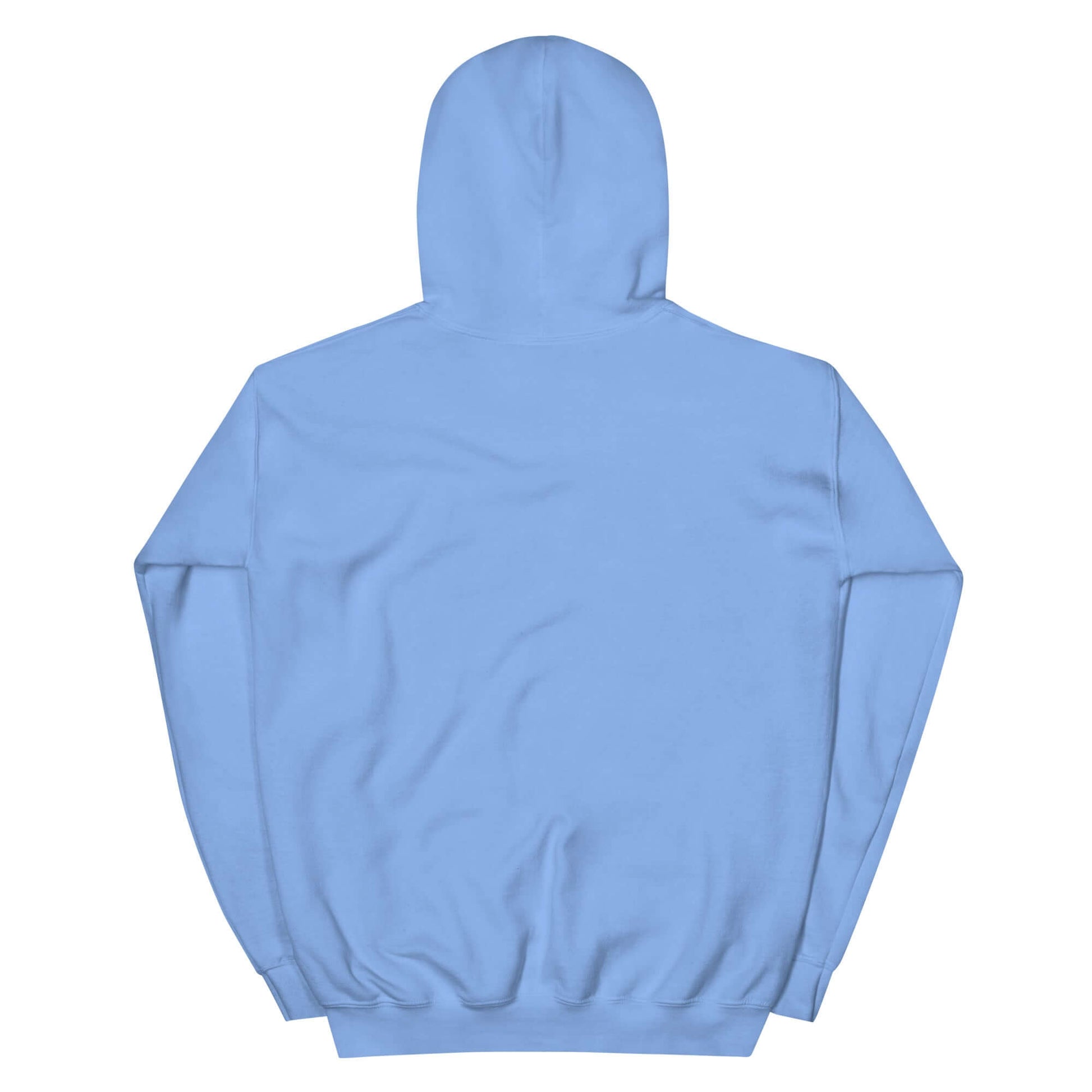 Rückansicht eines niedlichen, hellblauen Alpaka Hoodies mit Kapuze und weichem Material.