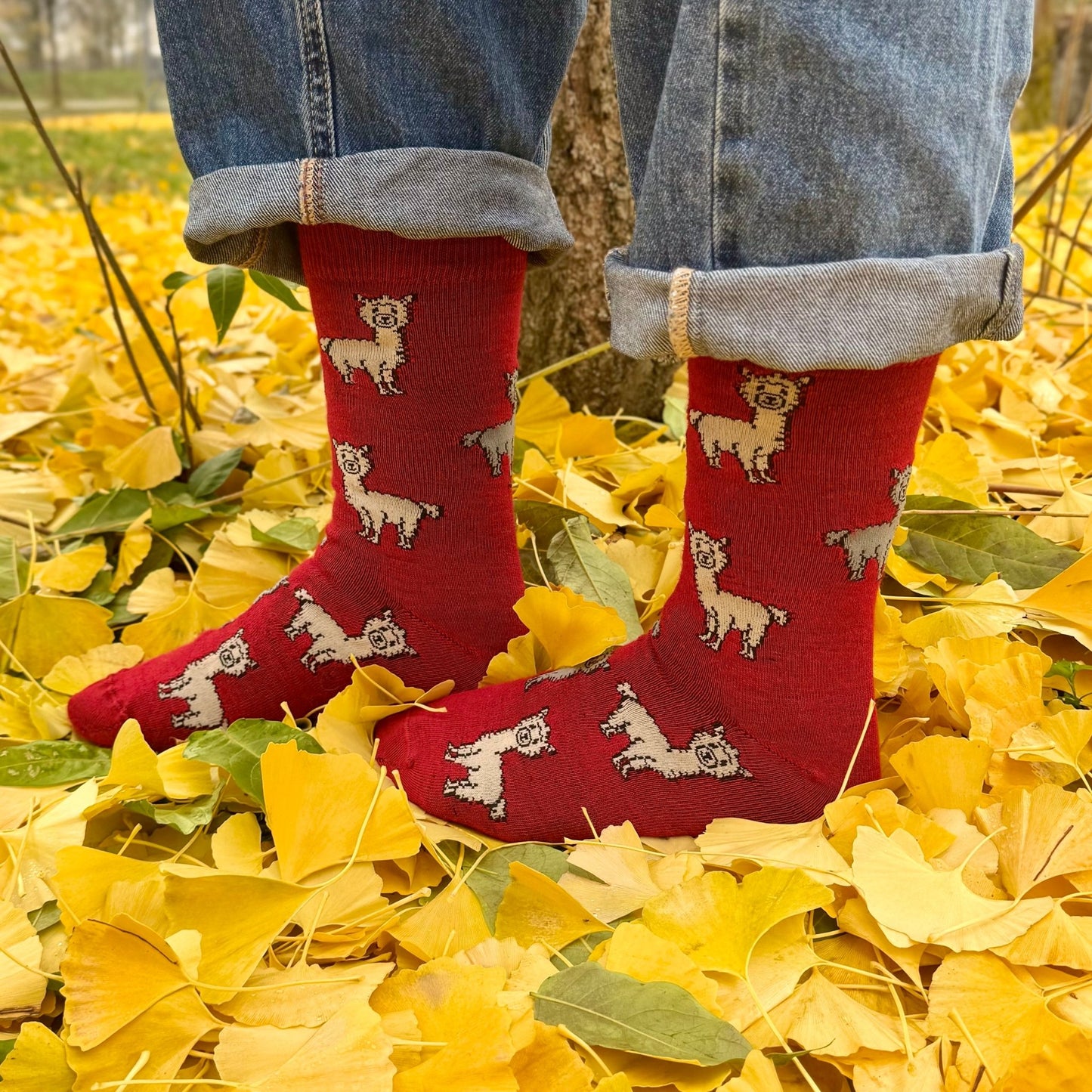 Hochwertige Alpaka Strümpfe aus 80% Baby Alpakawolle mit Alpaka-Motiv (Blau, Rot)